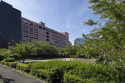 蔵前公園