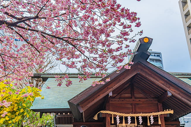 蔵前神社（徒歩7分/約520m）