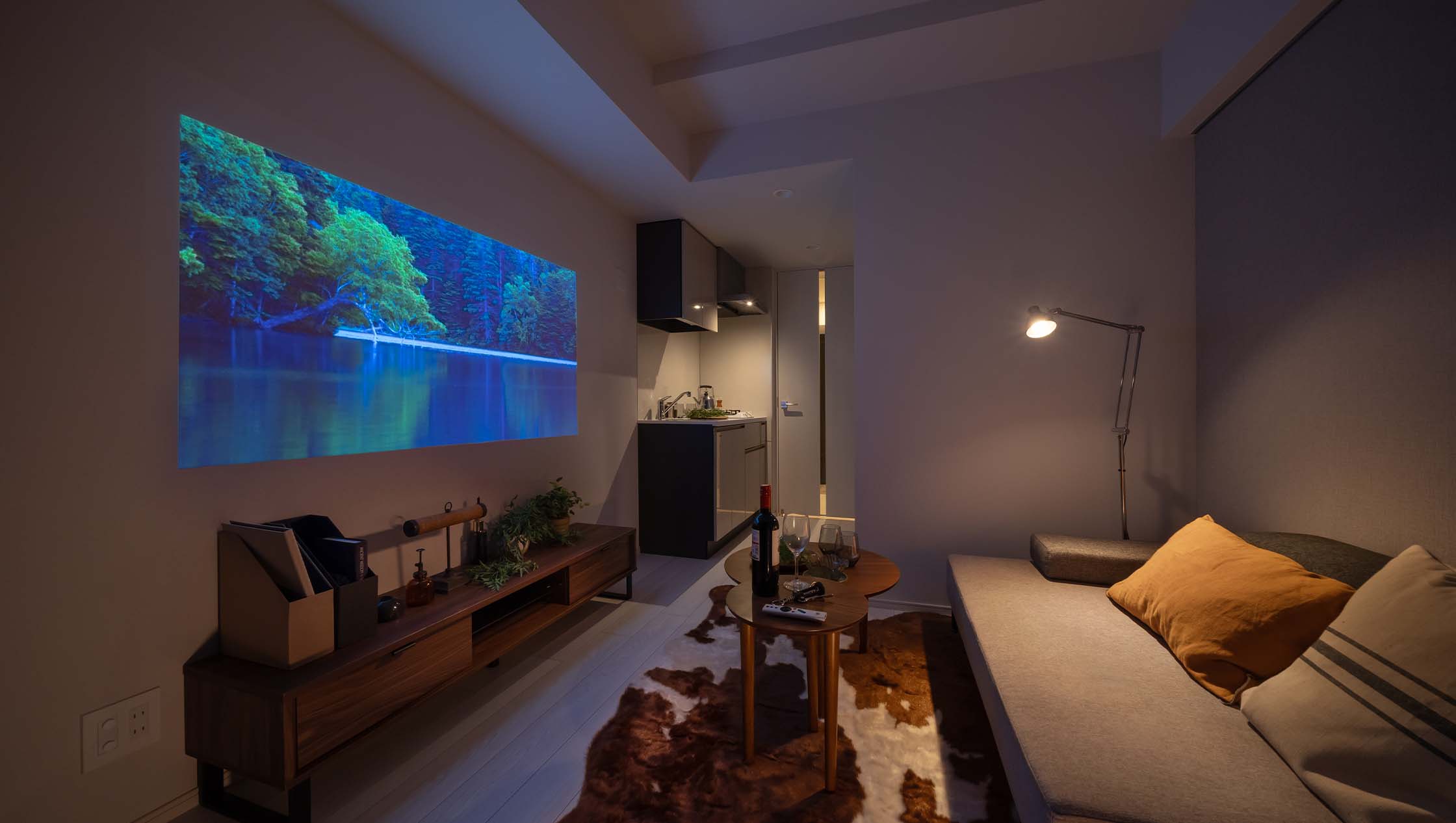 室内（Dタイプ：1DK/夜）